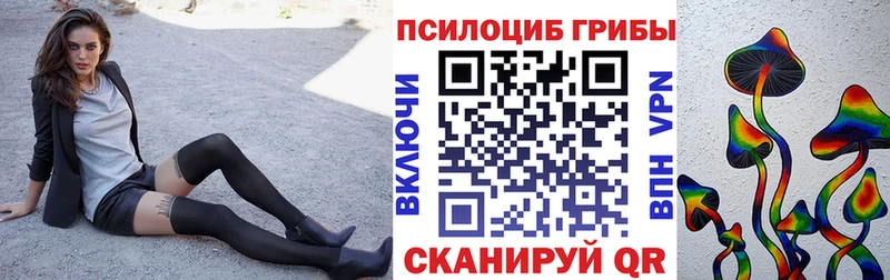 Купить закладки  Железноводск  Псилоцибиновые грибы Cubensis 